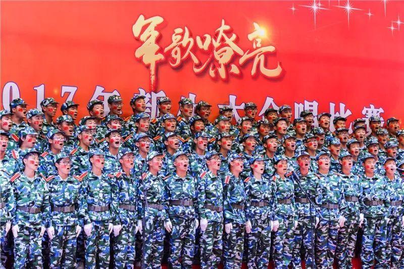 萌犬找不同